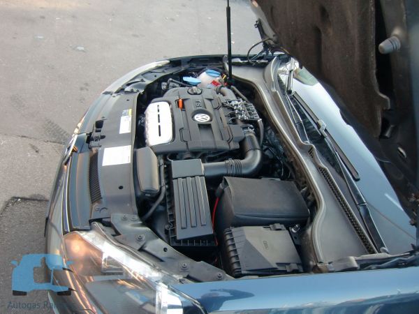 cimg475581e50edc-f00d-d4a2-3092-487796cf989a4CDA52CA-8FCB-6BE2-743A-5A7FA610E6A1.jpg